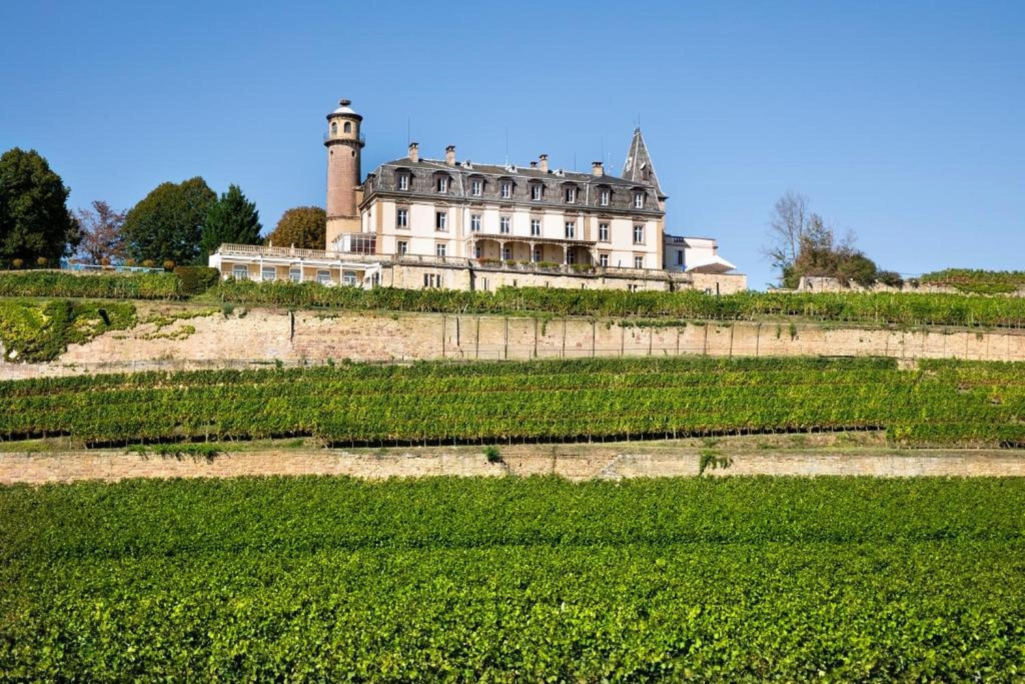 Chateau D'Isenbourg & Spa Руффак Екстер'єр фото