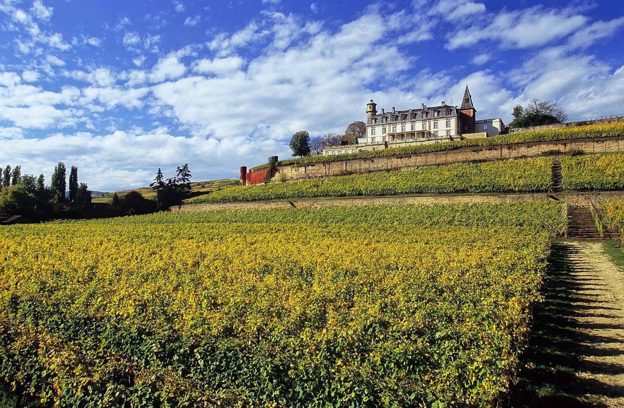Chateau D'Isenbourg & Spa Руффак Екстер'єр фото