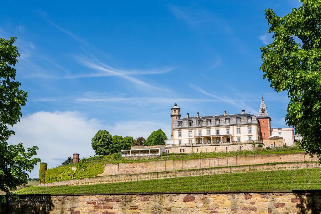 Chateau D'Isenbourg & Spa Руффак Екстер'єр фото